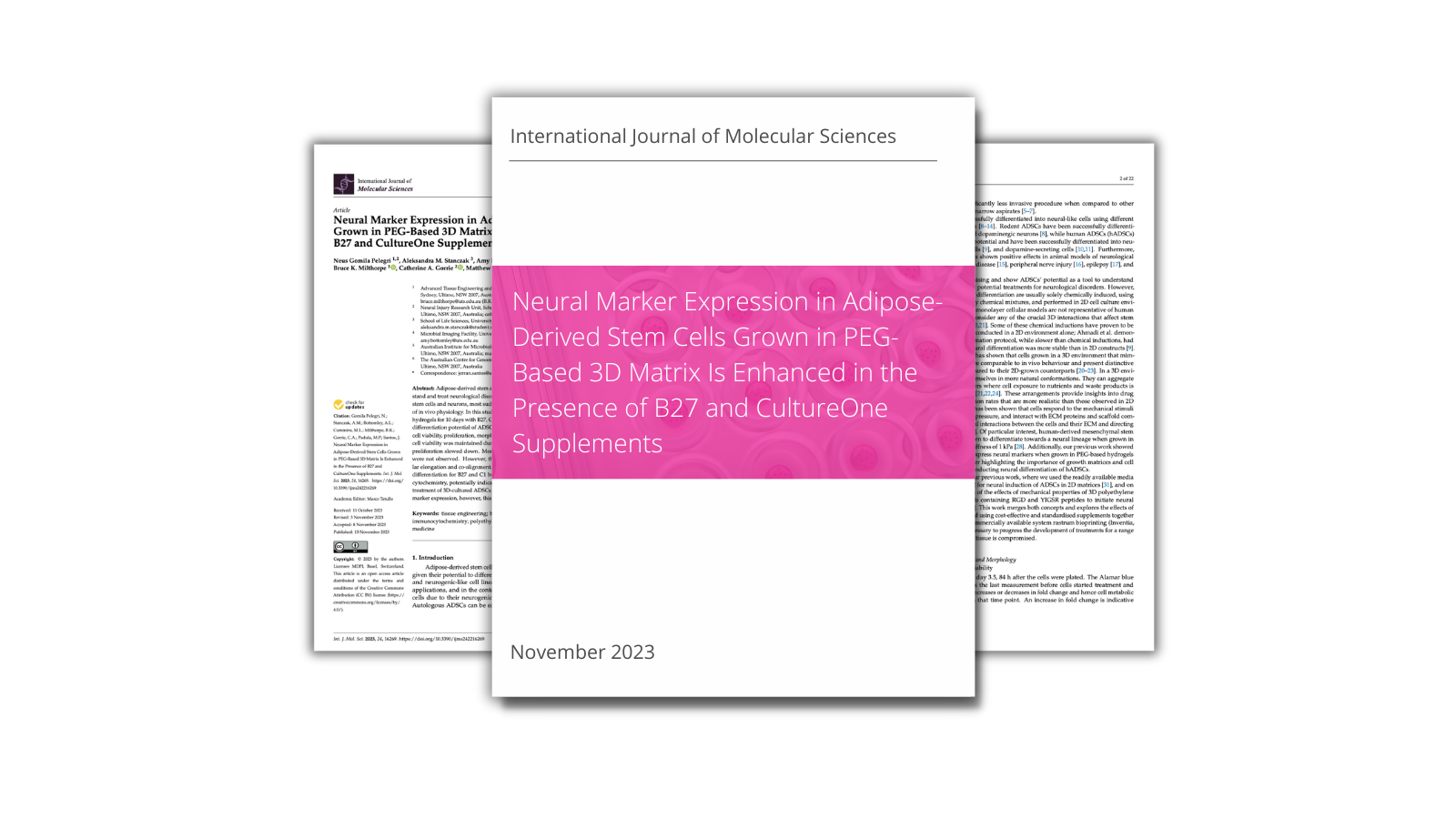 neural-marker-expression-in-adipose-derived-stem-cells-grown-in-peg